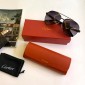 Replica Cartier Men's Sunglasses ASS650046