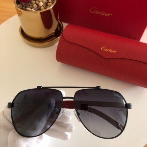 Cartier Men's Sunglasses ASS650020