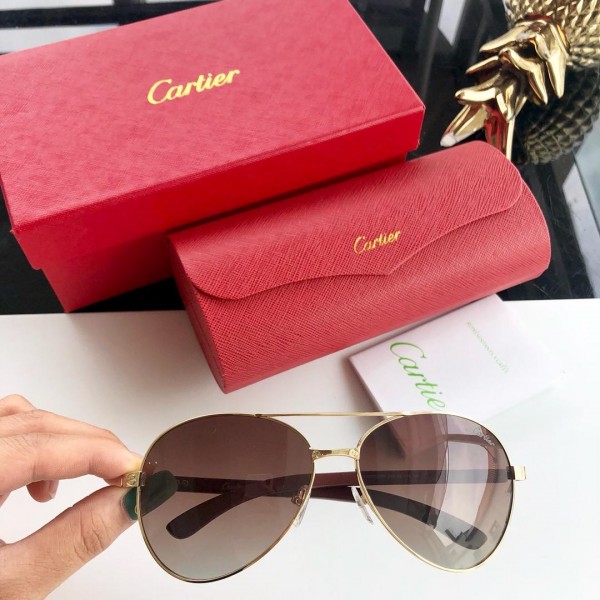 Cartier Men's Sunglasses ASS650021