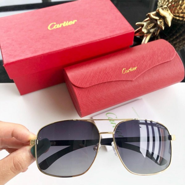 Cartier Men's Sunglasses ASS650022