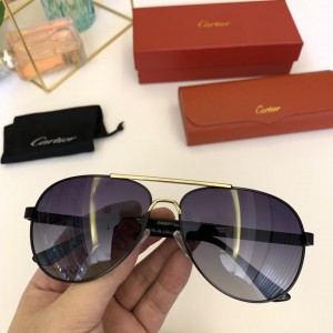 Cartier Men's Sunglasses ASS650025