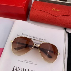 Cartier Men's Sunglasses ASS650027