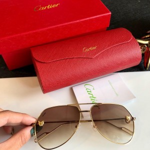 Cartier Men's Sunglasses ASS650031