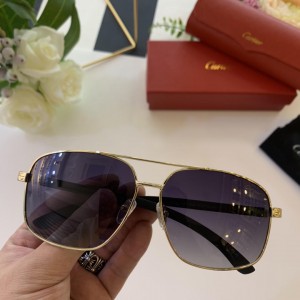 Cartier Men's Sunglasses ASS650036