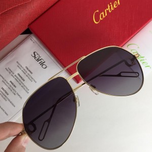 Cartier Men's Sunglasses ASS650040