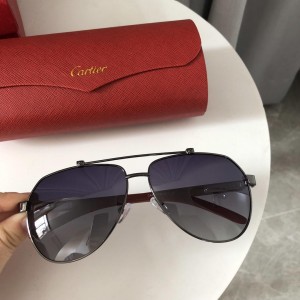 Cartier Men's Sunglasses ASS650043