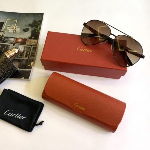 Cartier Men's Sunglasses ASS650046