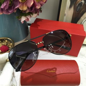 Cartier Men's Sunglasses ASS650053