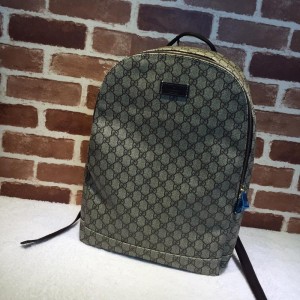 Gucci Perfect Quality brown simple back pack GC06BM097