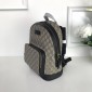 Replica Gucci Perfect Quality cream brow-black back pack GC06BM130