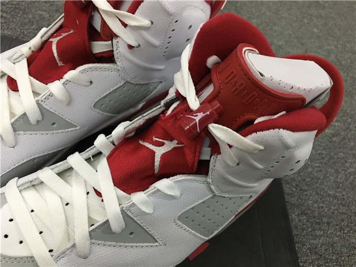 Air Jordan 6 Alternate 91 Hare Sneakers